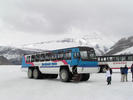 Snow Bus