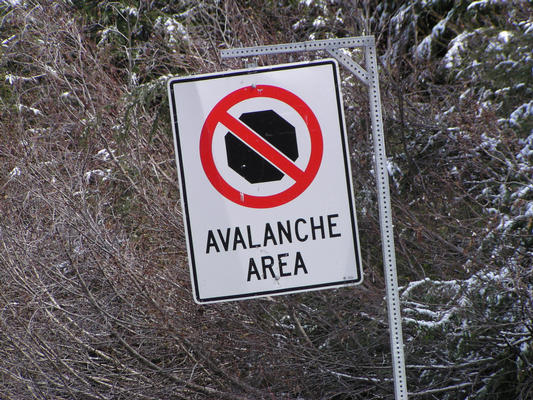 Avalanche Area