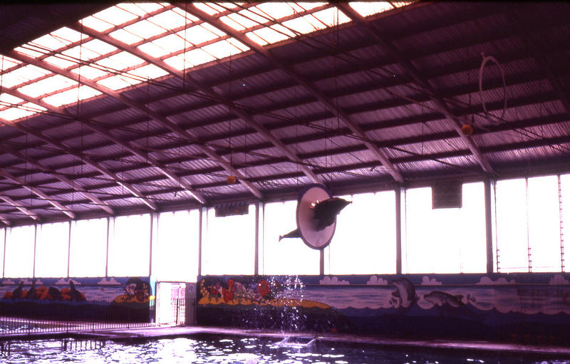 Marineland 4