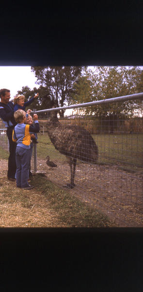 Graham and kids