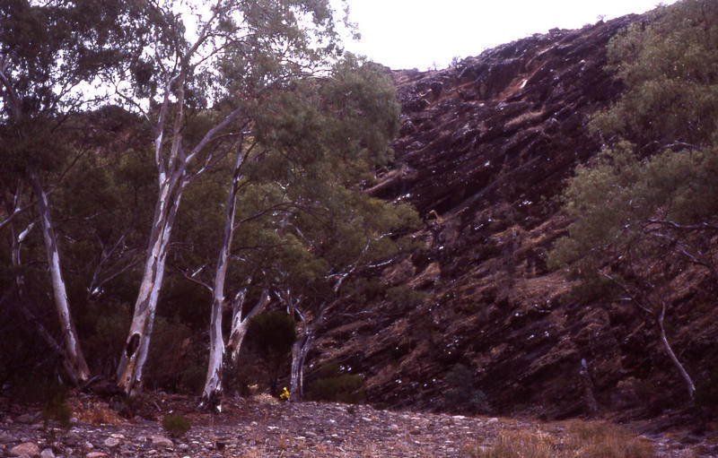 Bunyeroo Gorge