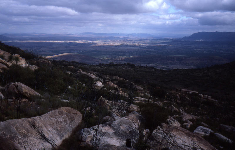 Wilpena Pound from Rawnsley Bluff 2