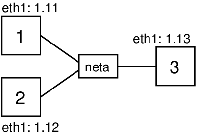 Network topology for testing address spoofing