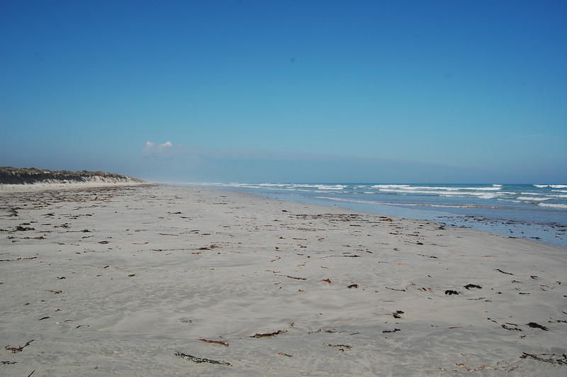 Beach near Picaninnie Ponds