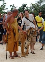 This was my second visit to the Tiger Temple