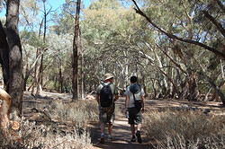 Flinders Ranges